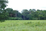 Foto do terreno